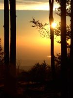 15 spaetnachmittag am hirschenstein